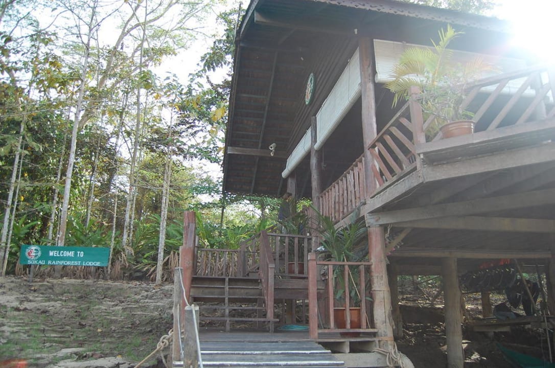 Die Ankunft Hotel Sukau Rainforest Lodge