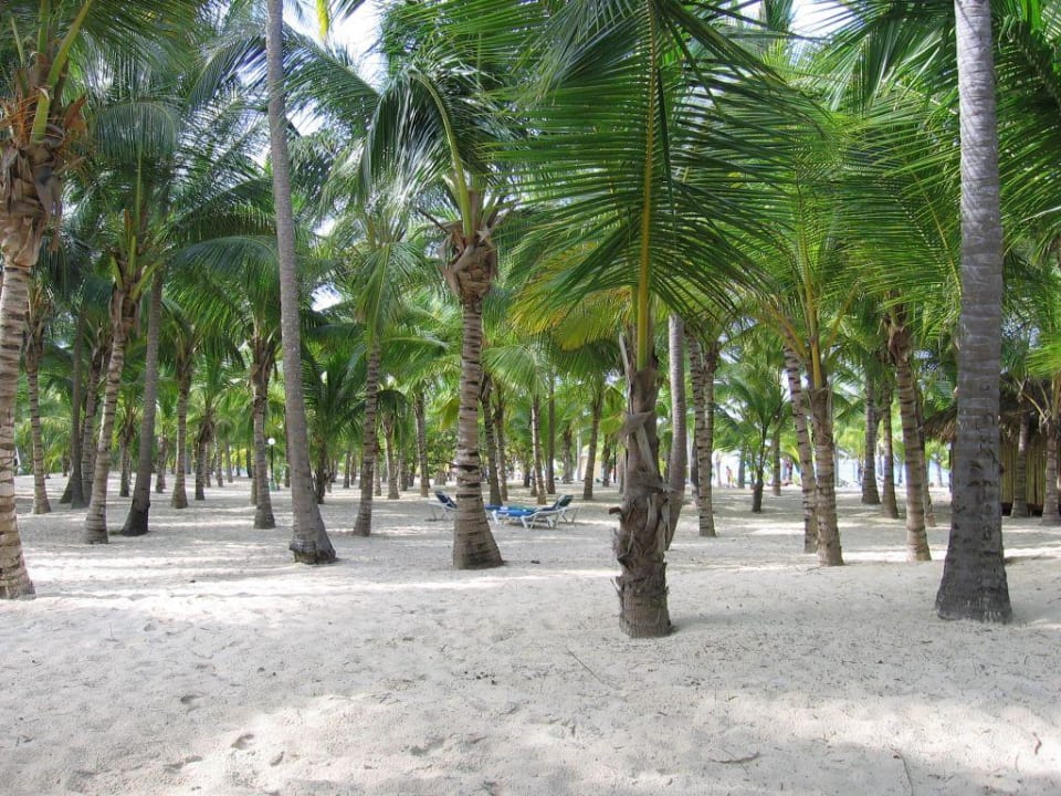 weg zum Strand Hotel Riu Bambu