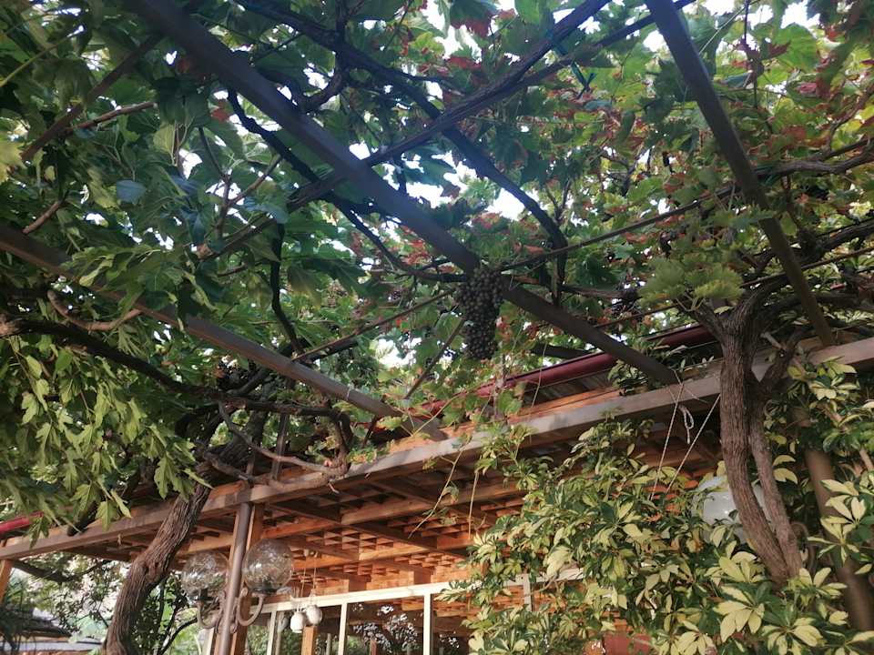 Gartenanlage Mouria Studios