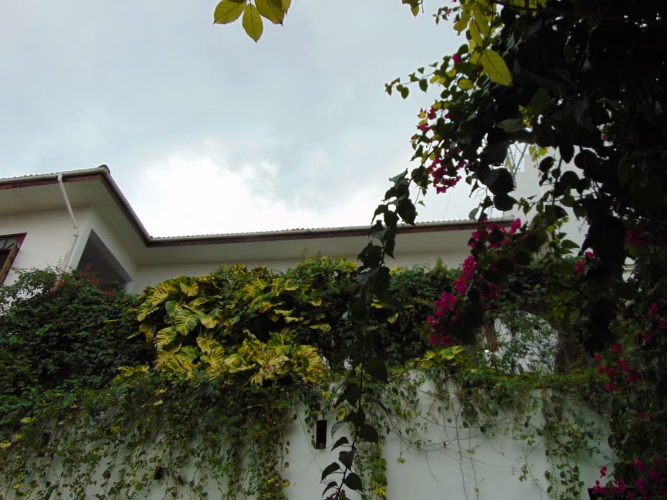 Außenansicht The Seyyida Hotel & Spa