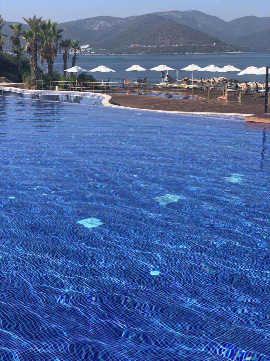 Pool The Plaza Bodrum
