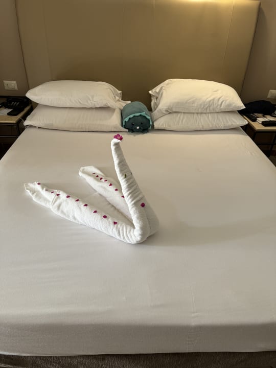 Zimmer Jaz Makadi Oasis Resort