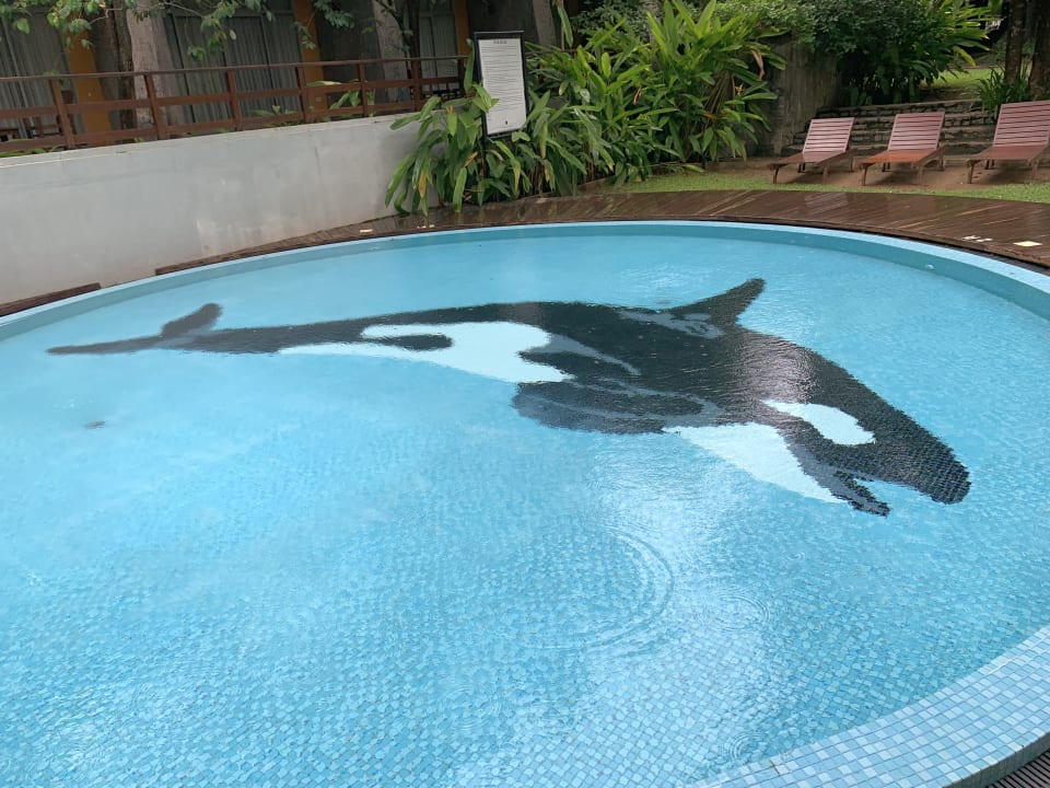 Pool Grand Udawalawe Safari Resort