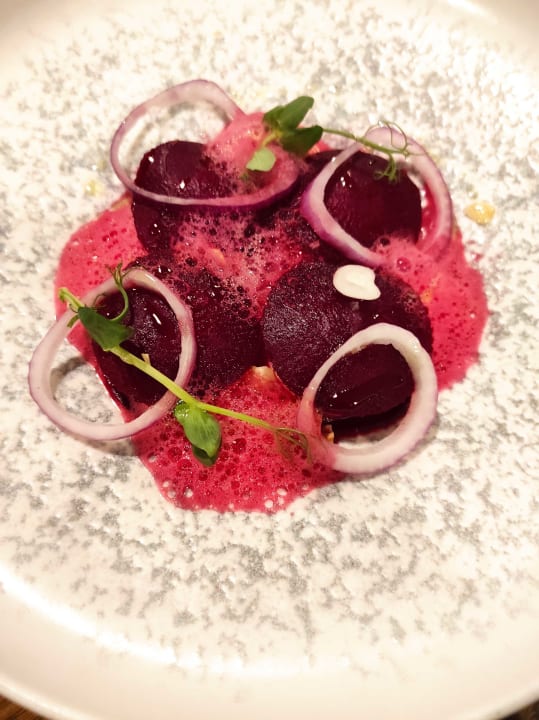 Gastro Acanthus Cennet Barut Collection