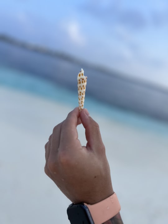 Sonstiges Sun Siyam Vilu Reef