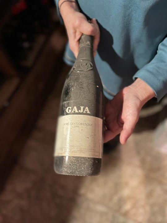 Gastro Hotel Alte Mühle