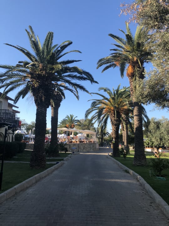 Zimmer Club Resort Atlantis