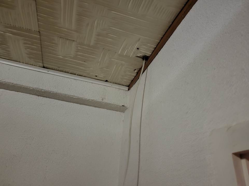 Zimmer Pension Transilvania