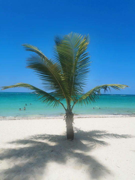 Strand TRS Turquesa Hotel - Adults only