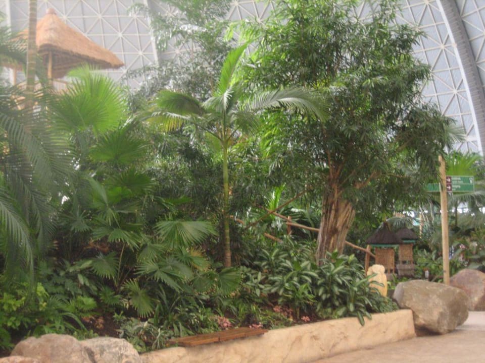 Regenwaldpfad Tropical Islands Resort