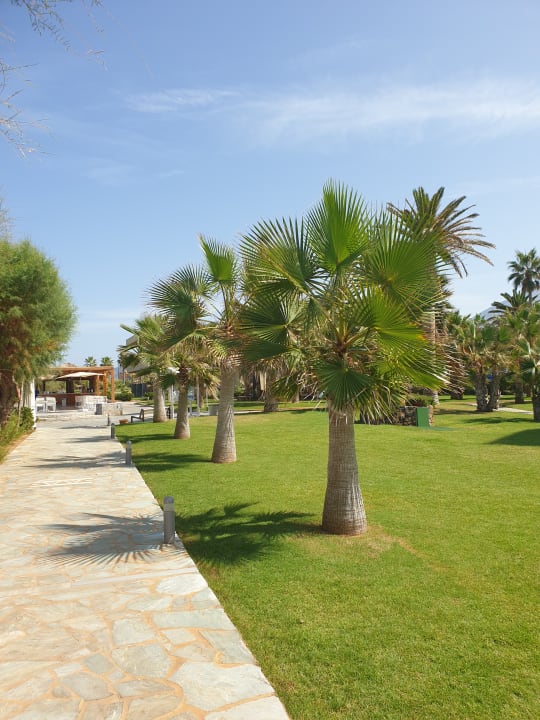 Gartenanlage Calimera Sirens Beach