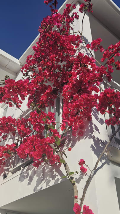 Außenansicht HARPIN Happy Days Beach Hotel