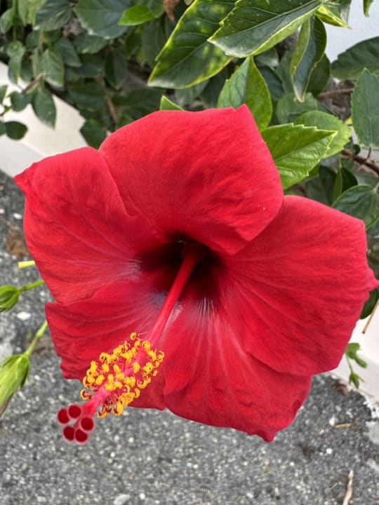 Außenansicht Hotel Villaggio Il Gabbiano