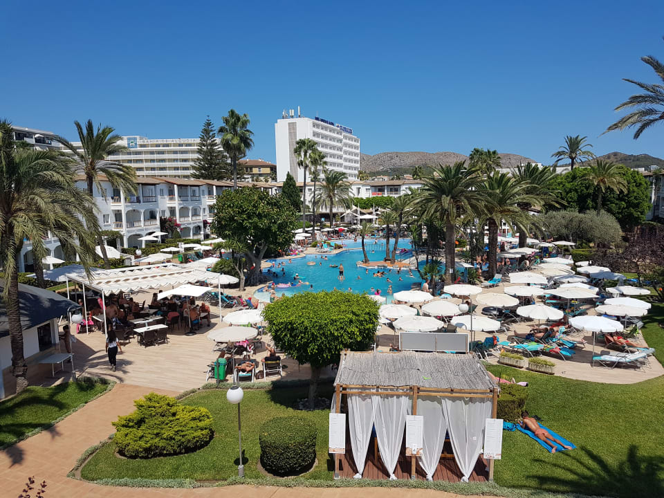 Pool Alcudia Garden Aparthotel