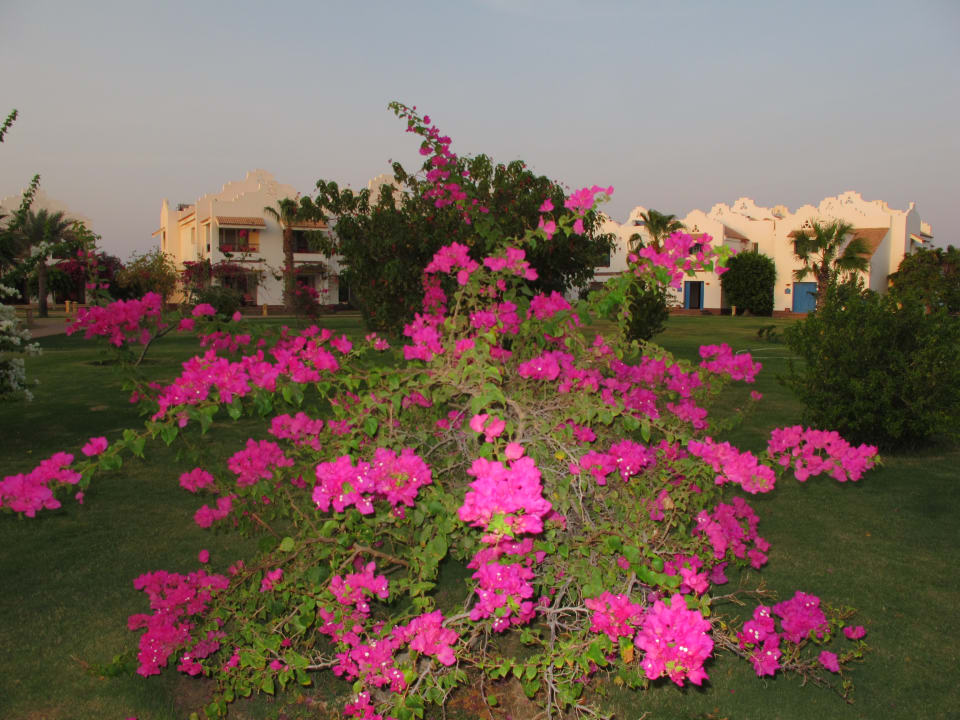 Außenansicht Lahami Bay Beach Resort