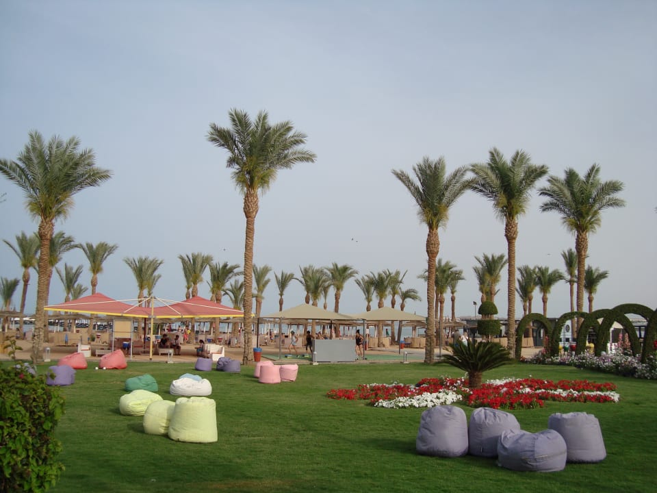 Gartenanlage Beach Albatros Resort