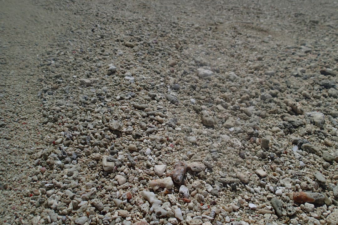 Strand Hotel New Emerald Cove