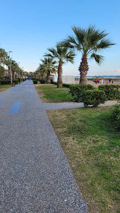 Sonstiges Commodore Elite Suites & Spa - Adults only