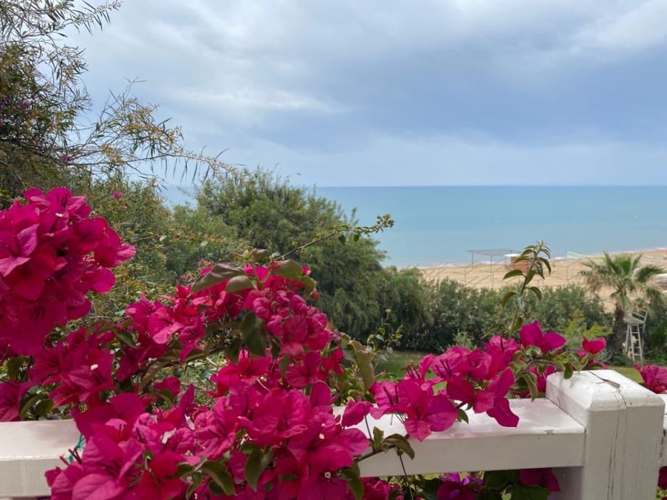 Ausblick Can Garden Resort