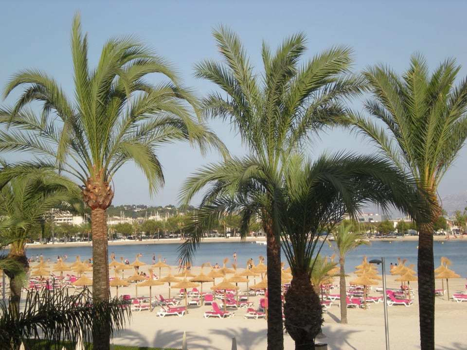 Feiner weißer Sand VIVA Golf - Adults only 18+