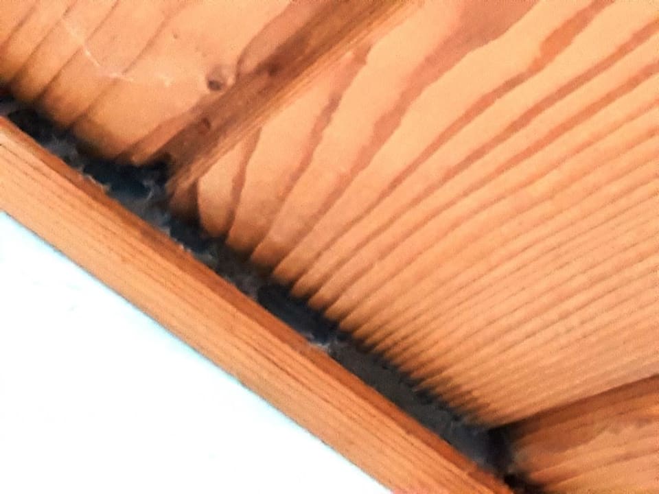 Zimmer Hotel Zur Wildbahn