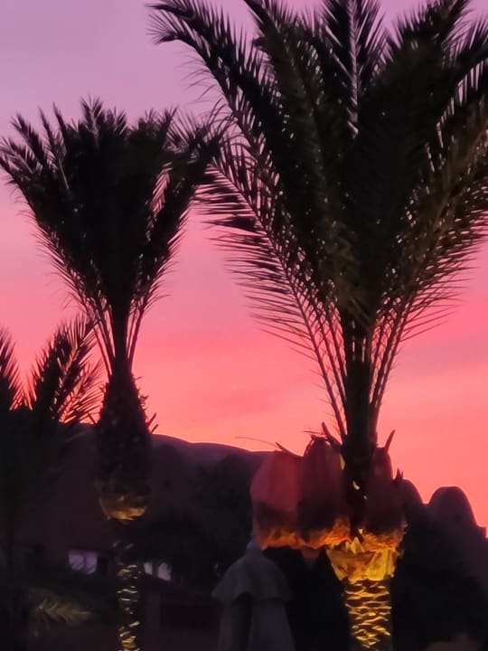 Gartenanlage Novotel Marsa Alam Beach Resort