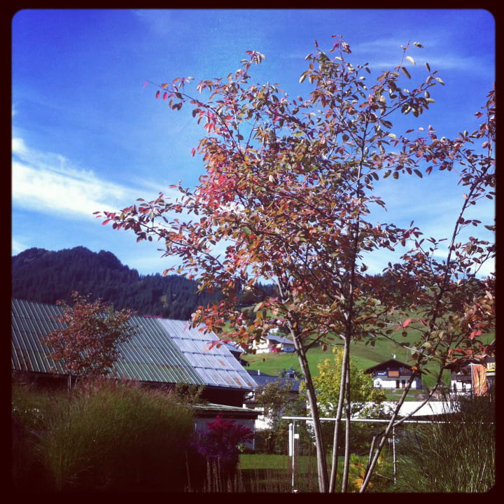 Travel Charme Ifen Hotel A-ROSA Ifen Hotel Kleinwalsertal