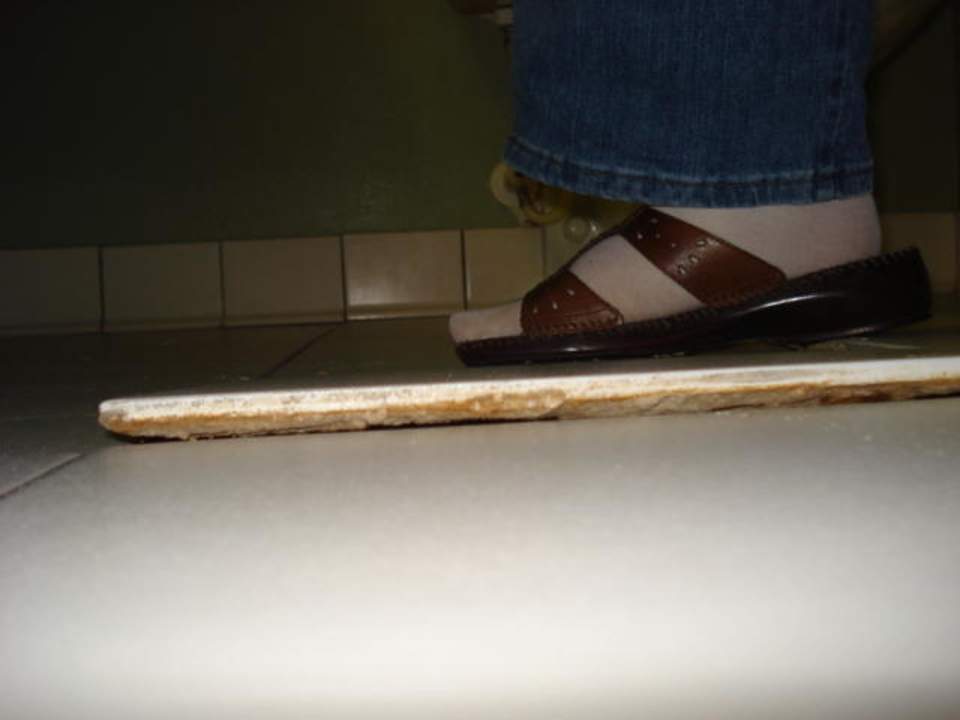 Lose Bodenplatten Floridian Express International Drive