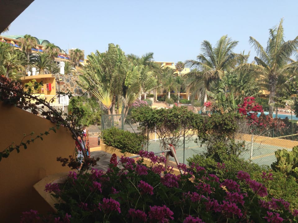 Blick vom Balkon Club Hotel Drago Park