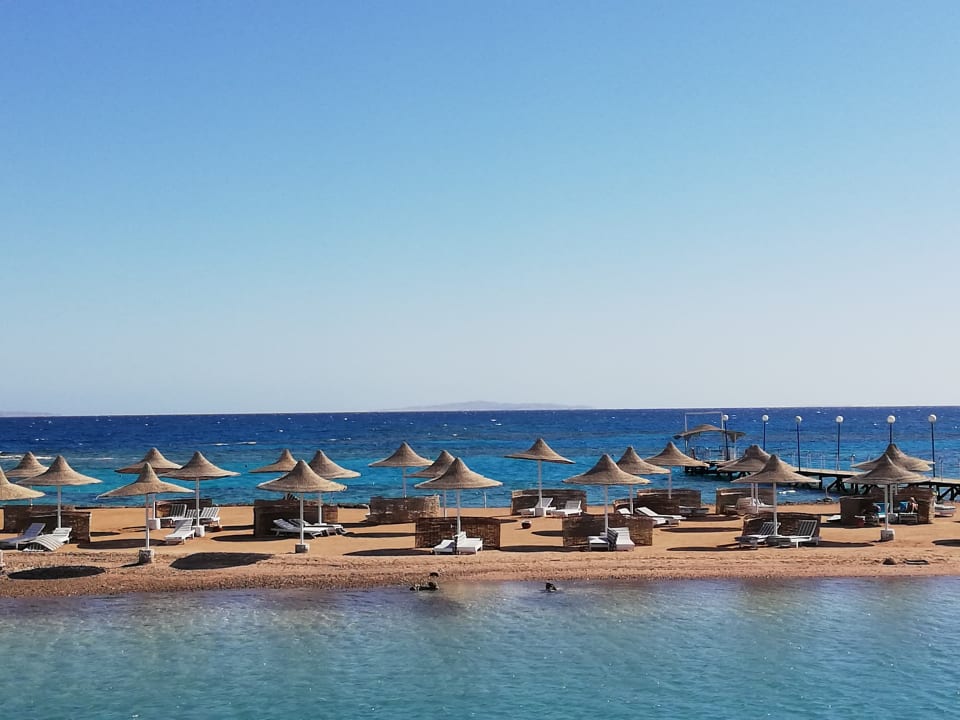 Ausblick Desert Rose