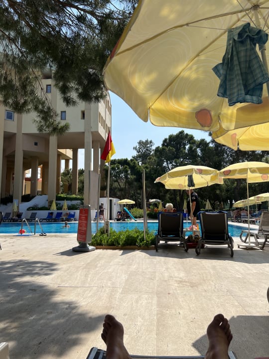 Pool Asteria Collection Side