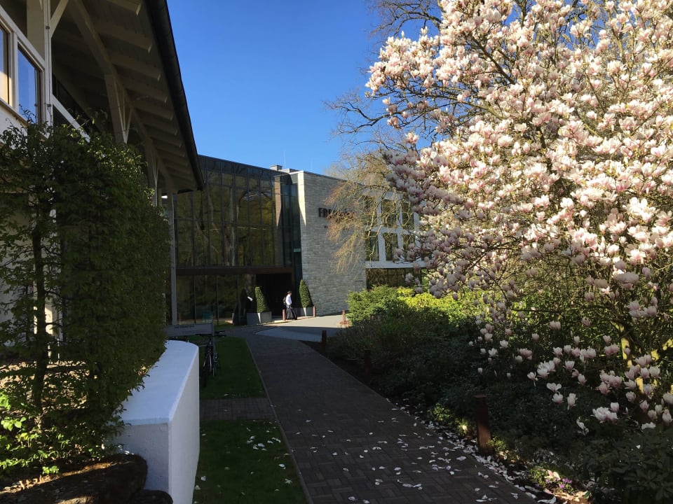 Weg zum Hoteleingang FREIgeist Northeim