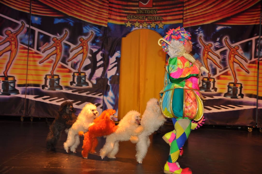 Circus  Hotel Victory Resort