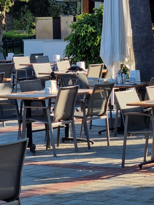 Gastro Labranda Alantur Resort