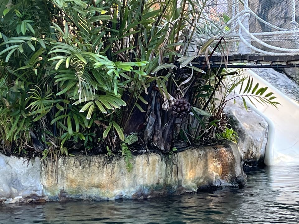 Pool Centara Grand Mirage Beach Resort Pattaya