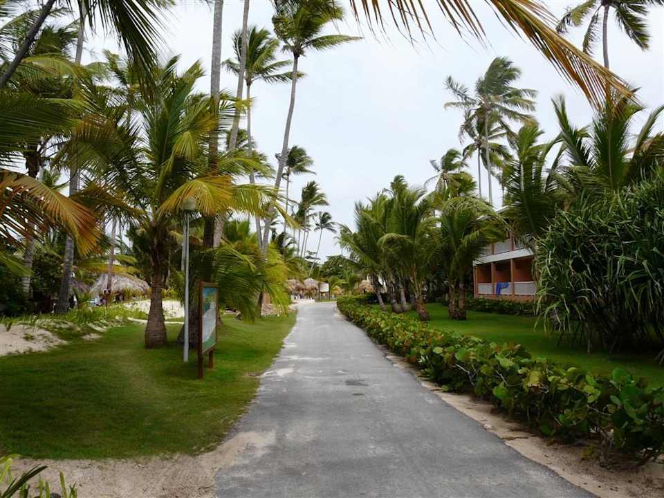 Weg zum Strand Hotel Grand Palladium Palace Resort, Spa & Casino