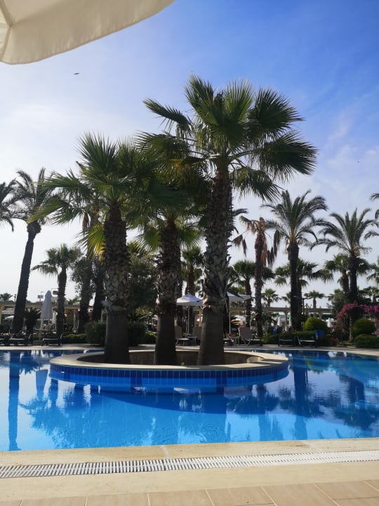 Pool Calimera Serra Palace