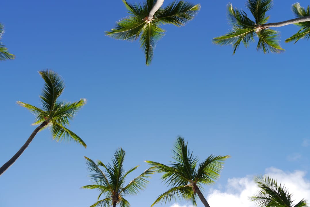 Strand Bavaro Grand Palladium Select Bávaro Resort & Spa