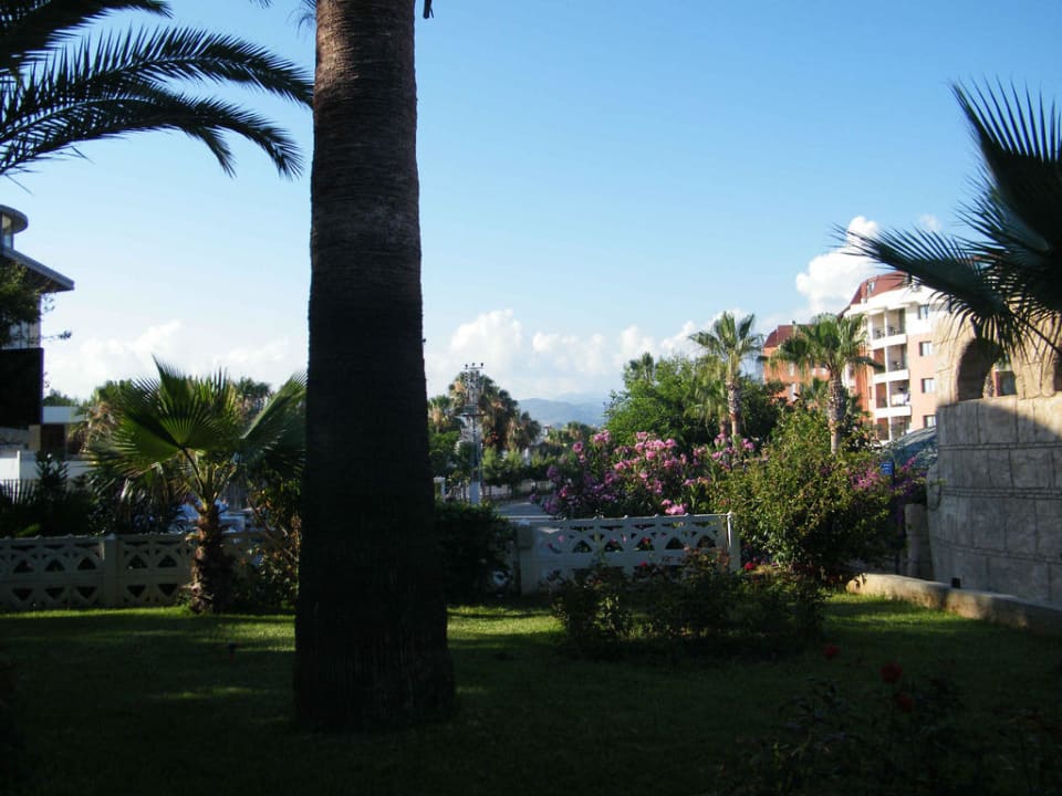 Gartenanlage Beach Tess Hotel  Hotel Club Tess