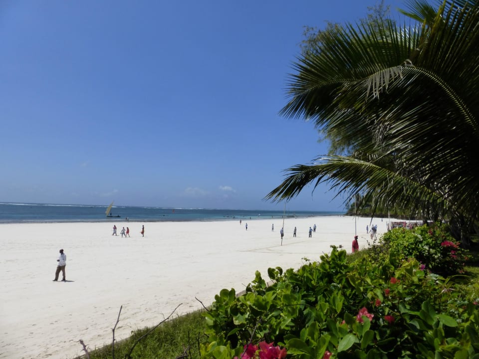 Strand vor dem Hotel Hotel Papillon Lagoon Reef