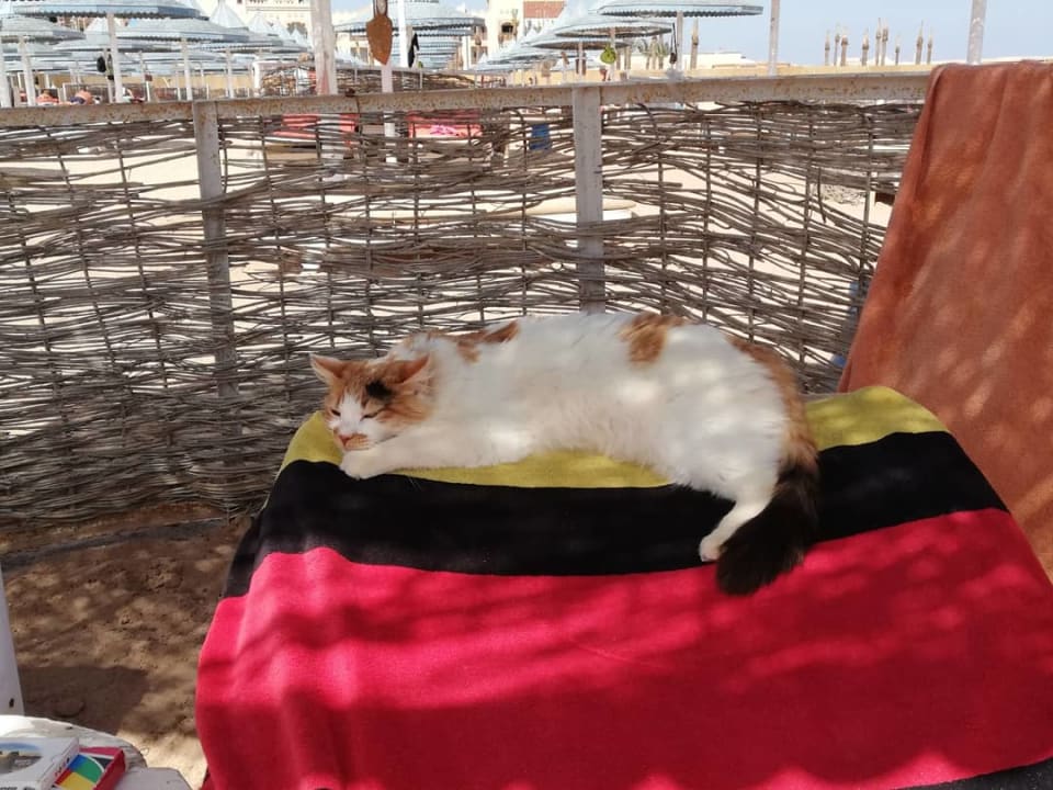 Strand The Grand Hotel Hurghada