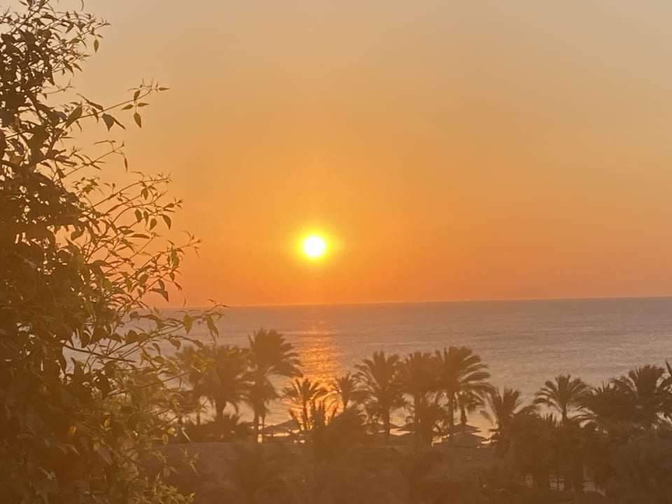 Ausblick Fort Arabesque - The West Bay