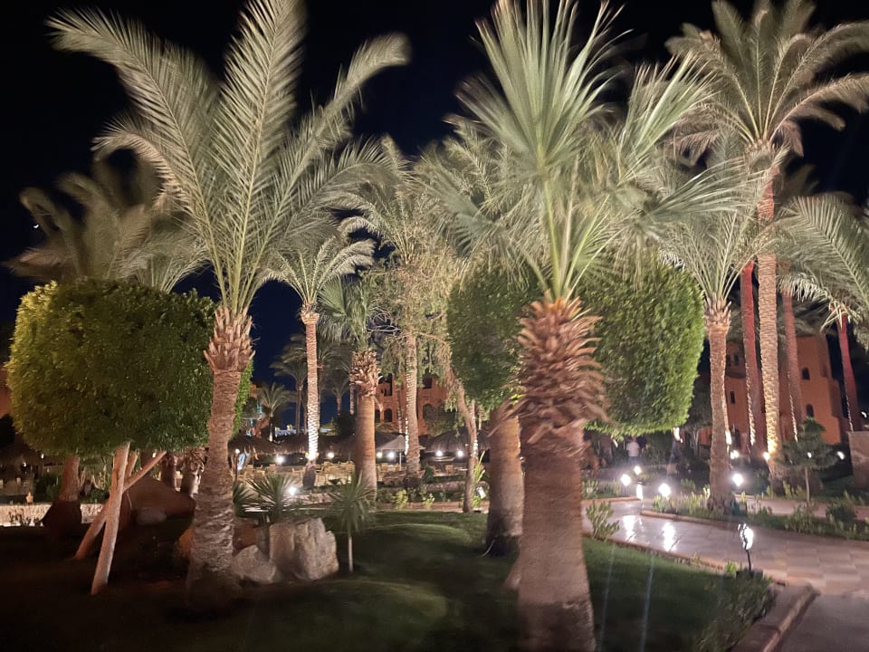Gartenanlage Jaz Makadi Oasis Resort