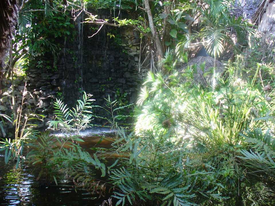 Teich bei der Lobby Hotel Southern Palms Beach Resort