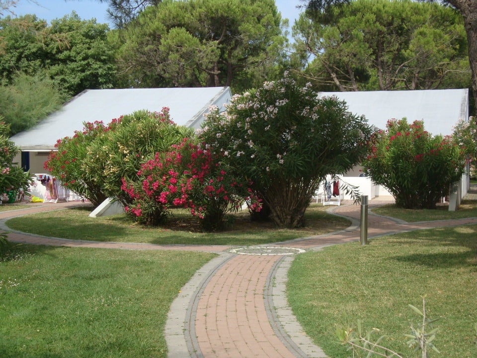 Bungalow Camping Village Dei Fiori