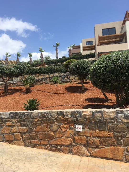 Gartenanlage Atlantica Mikri Poli Crete