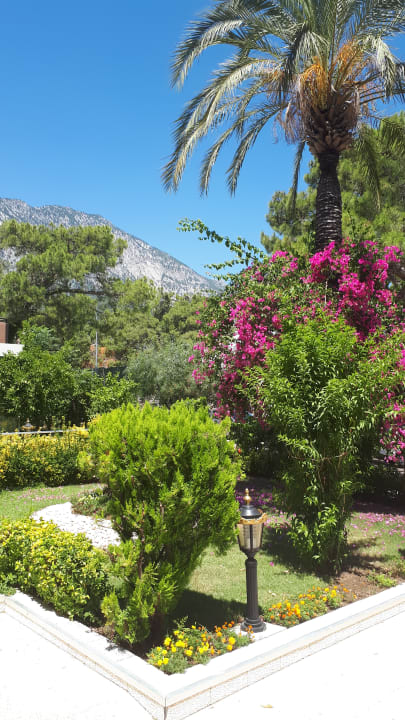 Gartenanlage Aleria Belport Beach Hotel