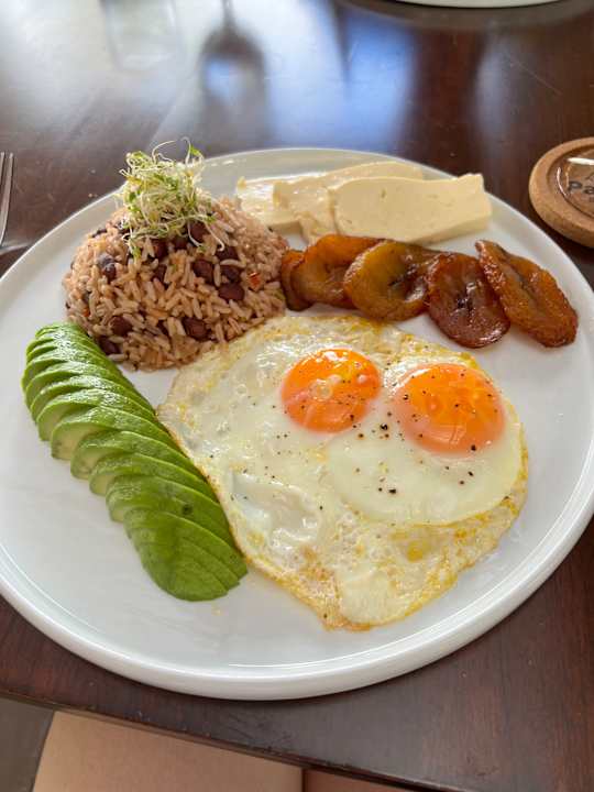 Gastro Palo Alto Glamping