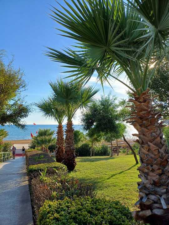 Strand allsun Numa Club Side