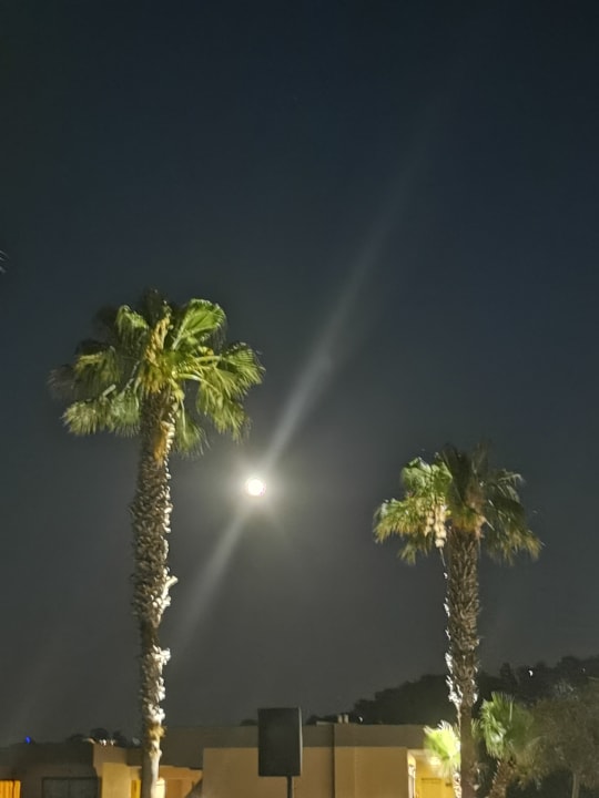 Ausblick Kresten Palace Hotel